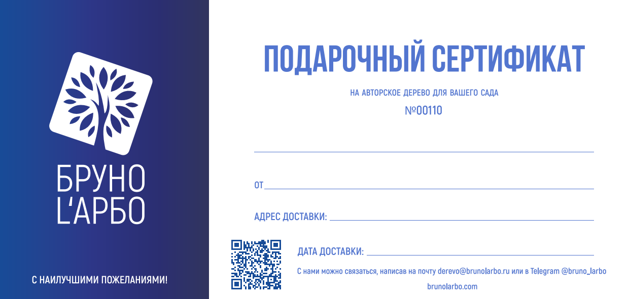 Подарочный сертификат